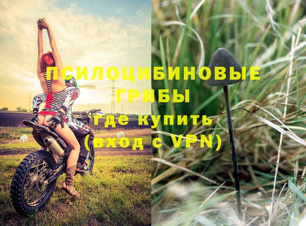 mdpv Арсеньев