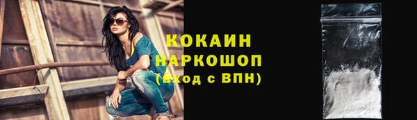 гашик Аркадак