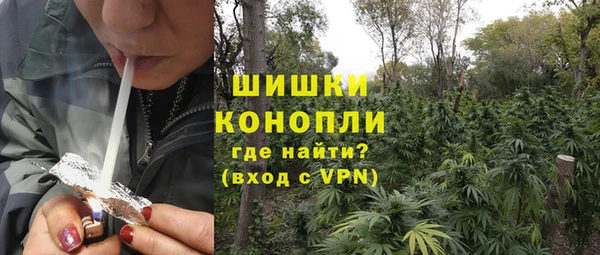 гашик Аркадак