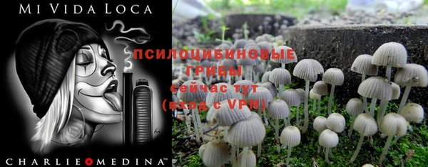 таблы Армянск