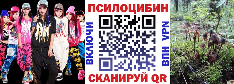 blacksprut ссылка  Няндома  дарк нет клад  Псилоцибиновые грибы GOLDEN TEACHER 